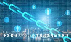 全面解析：KDpayapp下载指南