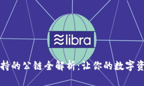 tpWallet支持的公链全解析：让你的数字资产安全无忧