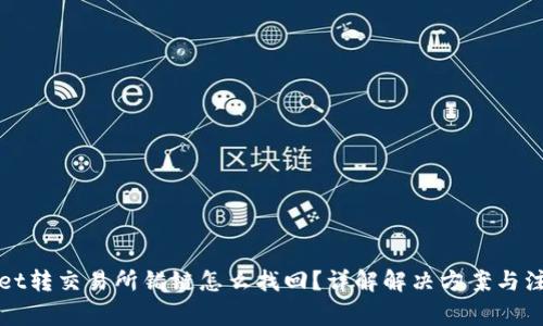 tpWallet转交易所错链怎么找回？详解解决方案与注意事项