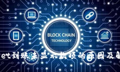 :tpWallet到账未显示款项的原因及解决方案