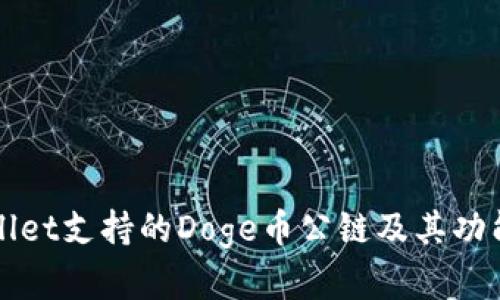 TPWallet支持的Doge币公链及其功能解析