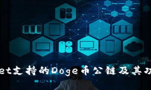 TPWallet支持的Doge币公链及其功能解析