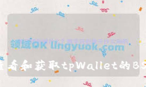 如何查看和获取tpWallet的BSC地址