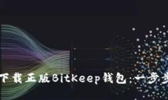 如何下载正版BitKeep钱包：一步步指南