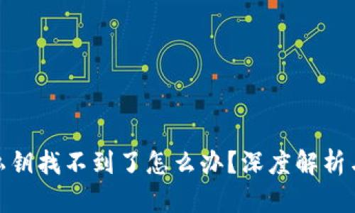 : 小狐狸私钥找不到了怎么办？深度解析与解决方案