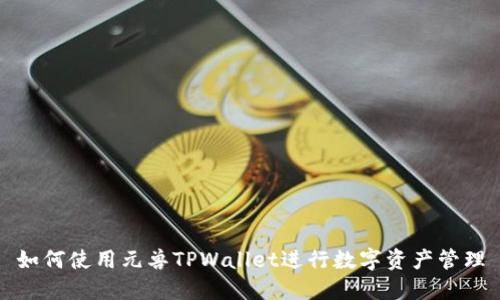 如何使用元兽TPWallet进行数字资产管理