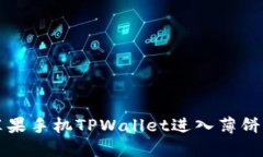 如何通过苹果手机TPWallet进入薄饼的详细指南